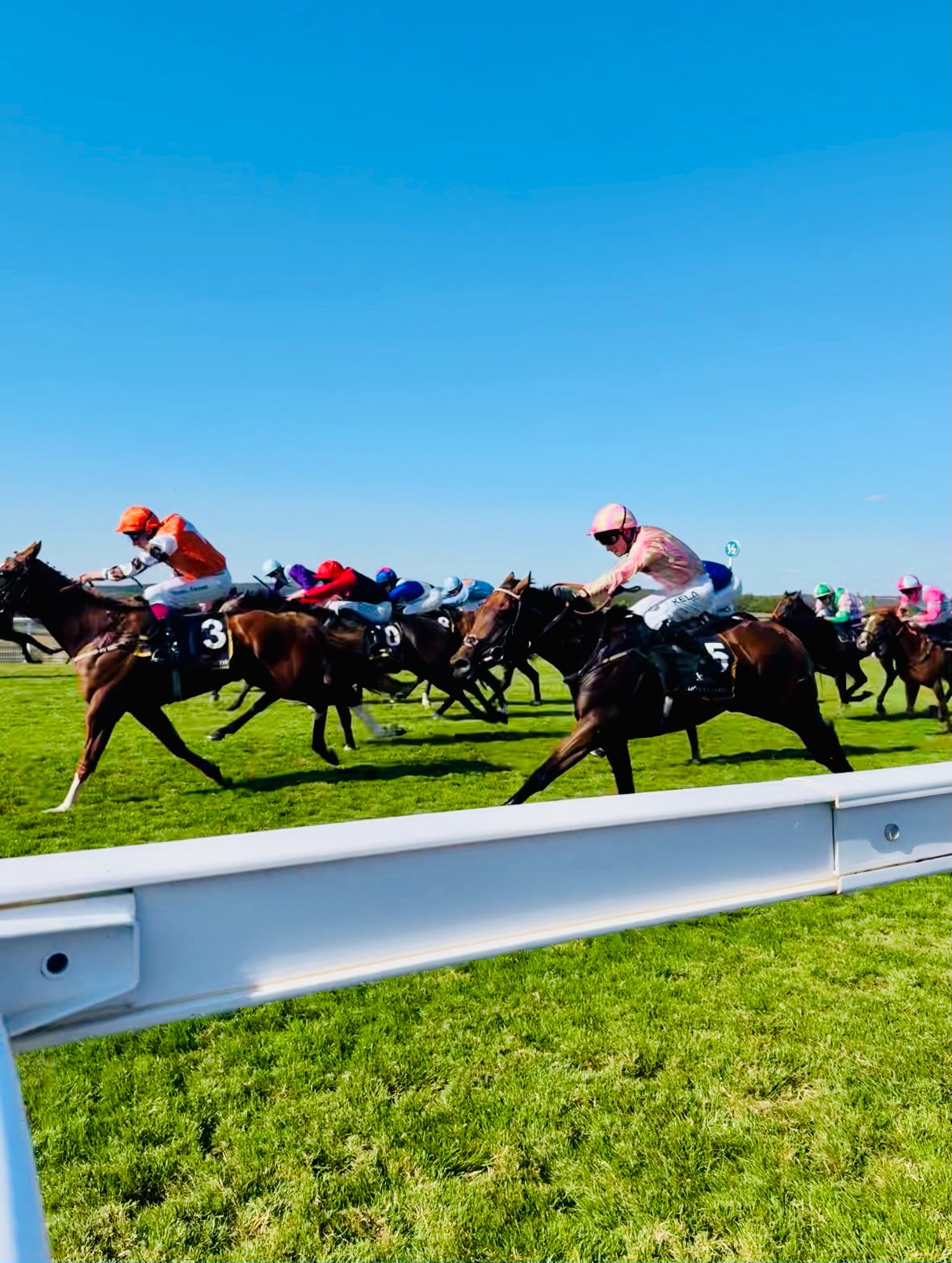 A Coronation Thoroughbreds horse racing in the navy and pink silks